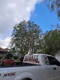 The Harris Company, REA/C