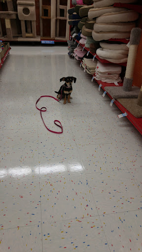 Pet Supply Store «Petco Animal Supplies», reviews and photos, 3165 Alpine Ave NW g, Walker, MI 49544, USA