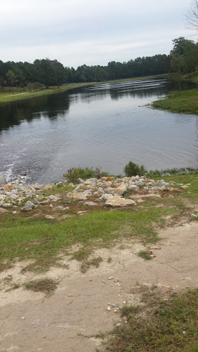 Vineyard «Lu Mil Vineyard», reviews and photos, 438 Suggs-Taylor Rd, Elizabethtown, NC 28337, USA