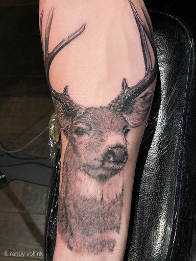 Explore butterfly back tattoo ideas, creative tattoo ideas in Mesa, available at The Tattoo Lounge