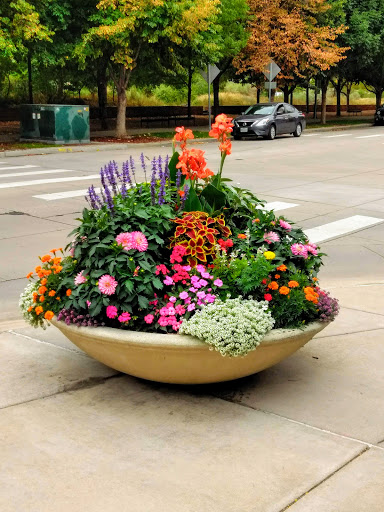 Park «Commons Park», reviews and photos, 2101 15th St, Denver, CO 80202, USA