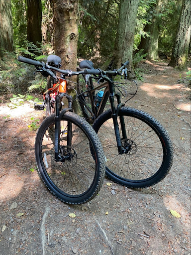 Bicycle Store «Bicycle Centres of Everett», reviews and photos, 4707 Evergreen Way, Everett, WA 98203, USA