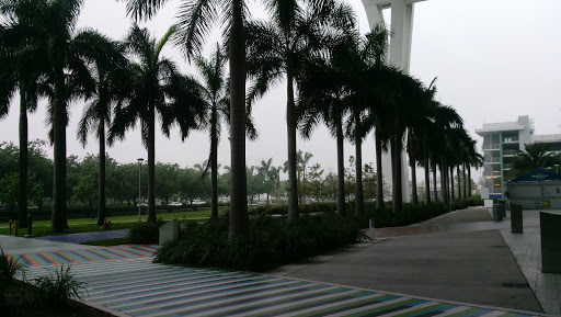 Stadium «Marlins Park», reviews and photos, 501 Marlins Way, Miami, FL 33125, USA