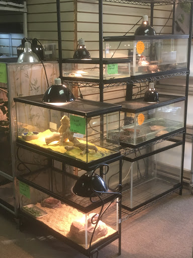 Pet Store «Petfection Exotic Pet Specialist», reviews and photos, 2989 PA-611 Suite 102, Tannersville, PA 18372, USA