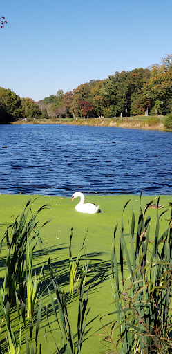 Golf Course «Bey Lea Golf Course», reviews and photos, 1536 N Bay Ave, Toms River, NJ 08753, USA