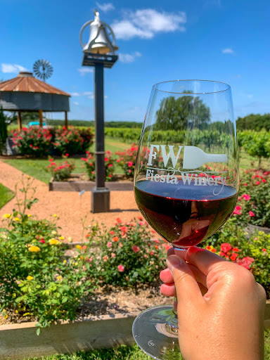 Winery «Fiesta Winery», reviews and photos, 18727 FM 580, Lometa, TX 76853, USA