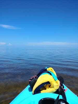 Anclote River Park - photo 54