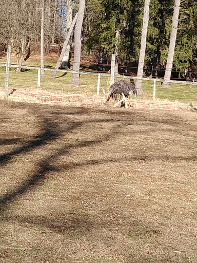 Zoo «Good Zoo & Benedum Theater», reviews and photos, 465 Lodge Dr, Wheeling, WV 26003, USA