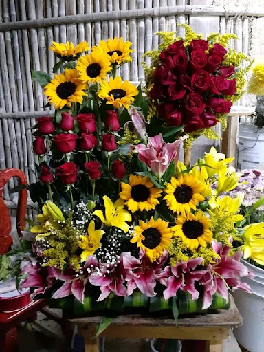 Floreria Olvera