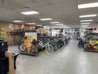Trek Bicycle Jacksonville Lakeshore - Photo 6 - Car repair in Jacksonville, FL, Jacksonville
