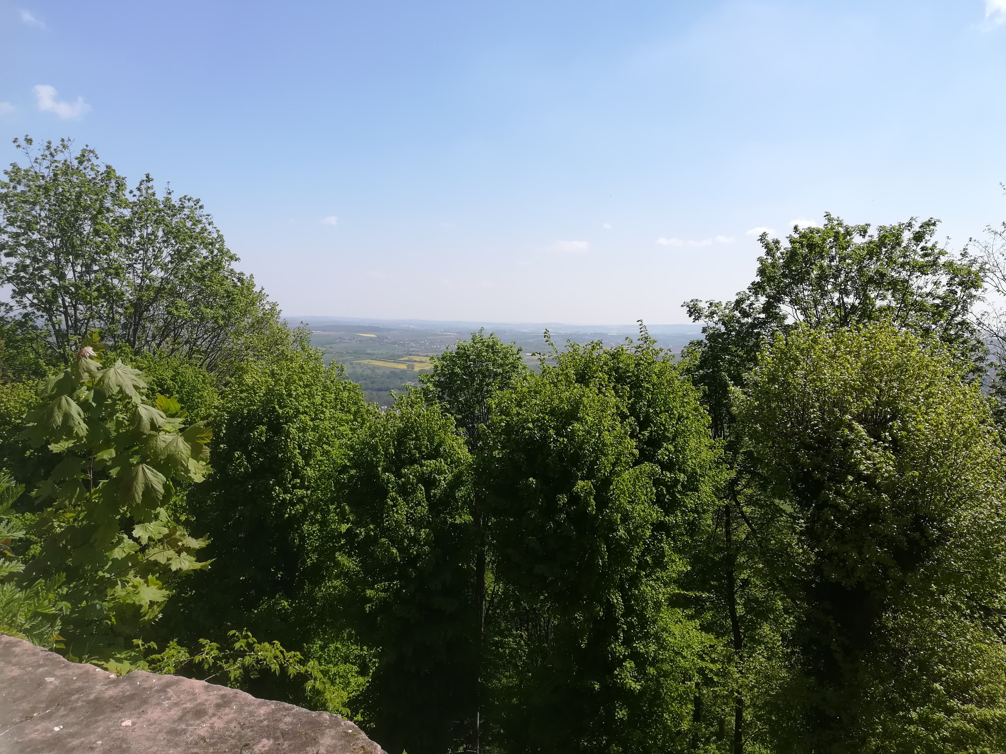 Photo n° 1 de l'avis de Odile.E fait le 03/05/2019 à 21:19