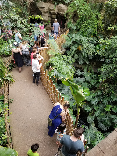 Aquarium «The Dallas World Aquarium», reviews and photos, 1801 N Griffin St, Dallas, TX 75202, USA