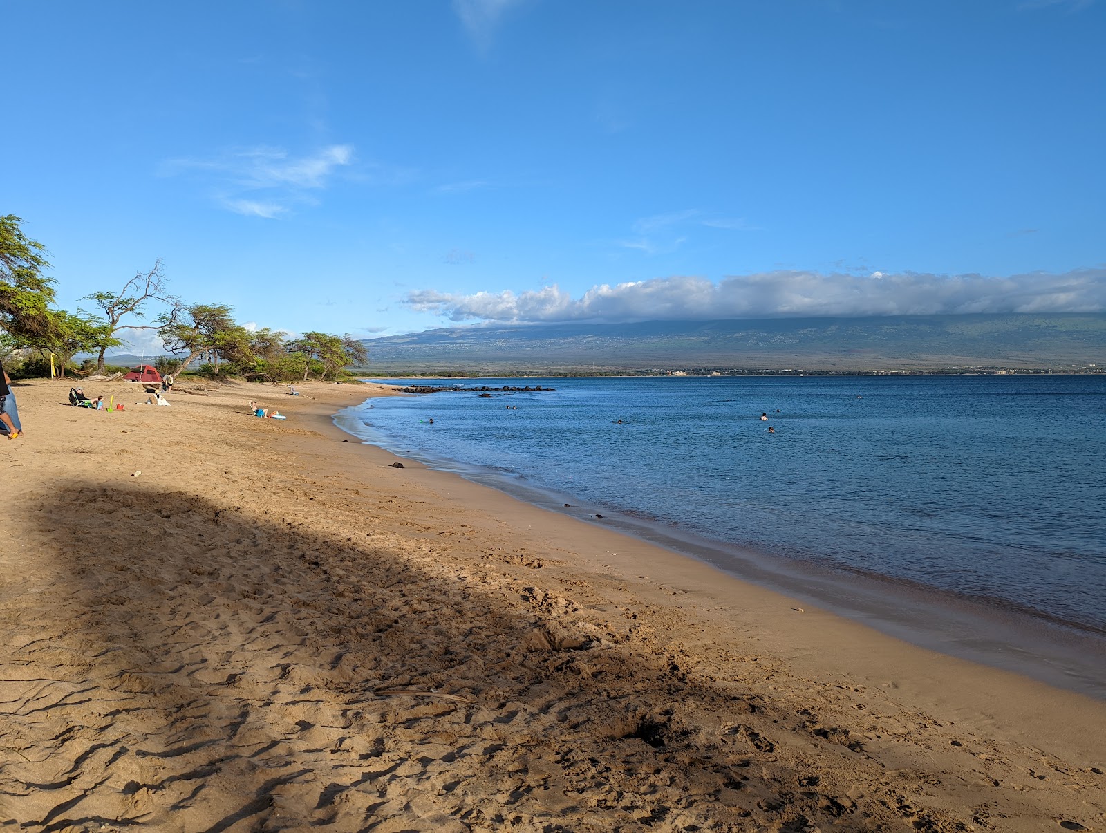 Foto von Coast Guard Beach - beliebter Ort unter Entspannungskennern