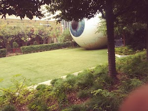 Giant Eyeball - photo 18
