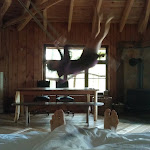 Photo n°1 de l'avis de S. fait le 18/02/2019 à 14:17 sur le  Robins Nest Baumhaushotel à Witzenhausen