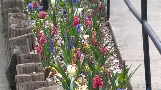 Zoo «Frank Buck Zoo», reviews and photos, 1000 W California St, Gainesville, TX 76240, USA