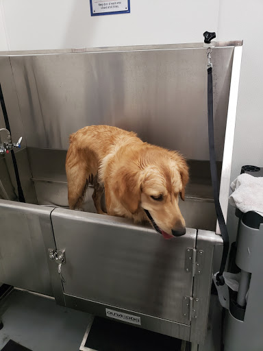 Home Improvement Store «Tractor Supply Co.», reviews and photos, 10801 Colonel Glenn Rd, Little Rock, AR 72204, USA