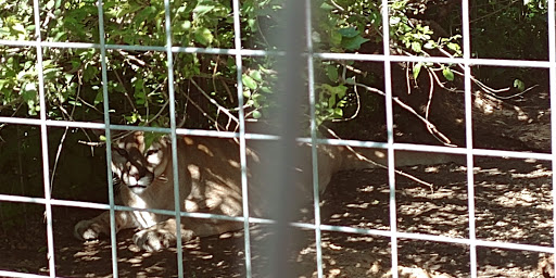 Zoo «Cricket Hollow Zoo», reviews and photos, 1512 210th St, Manchester, IA 52057, USA