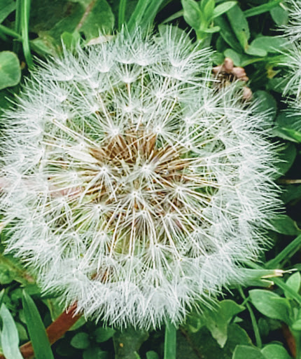 State Park «Colt State Park», reviews and photos, Route 114, Bristol, RI 02809, USA