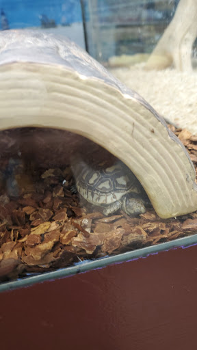 Pet Store «Pets Plus», reviews and photos, 151 Lincoln Hwy, Fairless Hills, PA 19030, USA