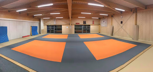 Ecole de judo Tresses à Tresses
