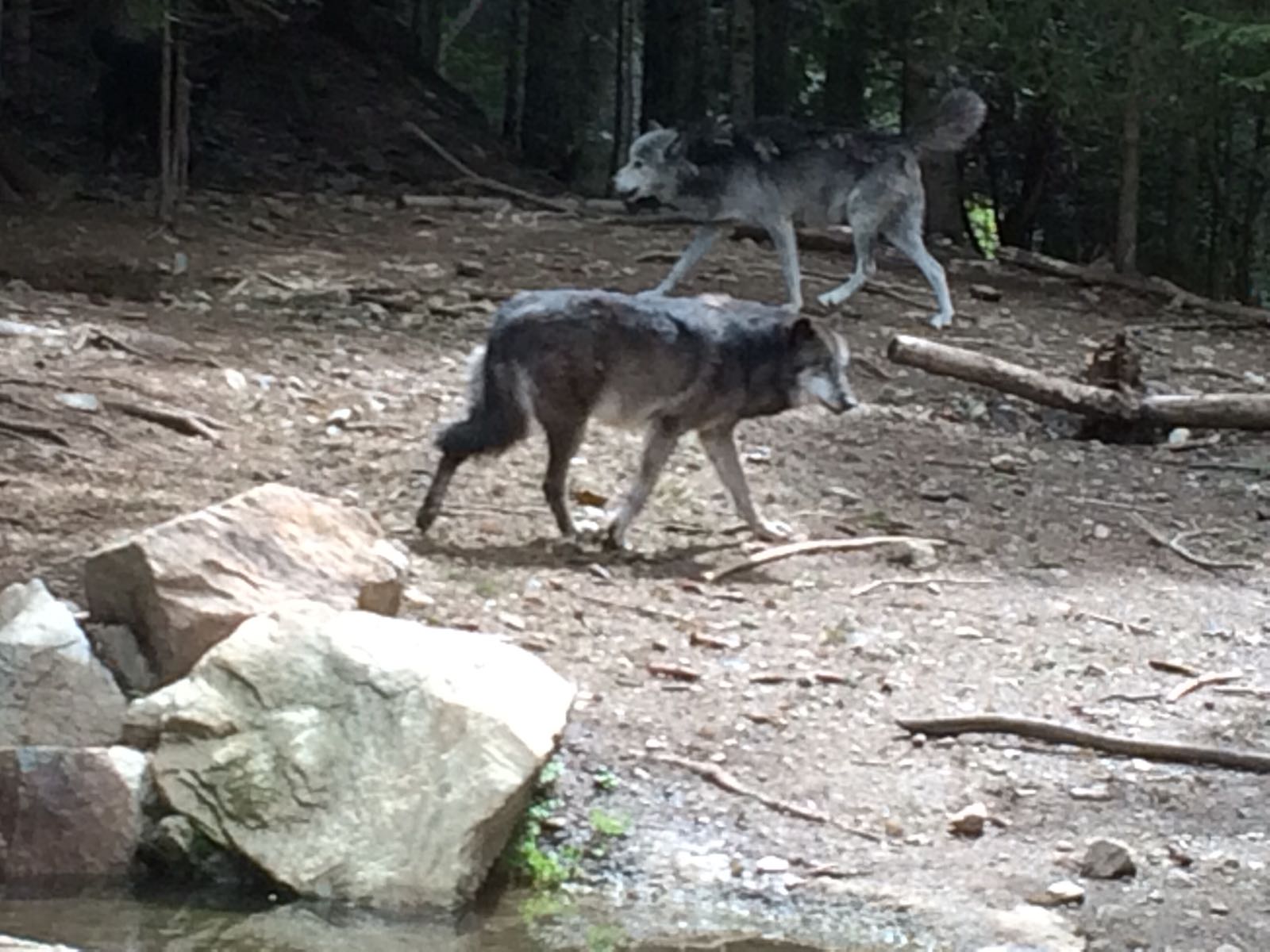 Photo n° 5 de l'avis de Maxime.l fait le 21/05/2018 à 08:38
