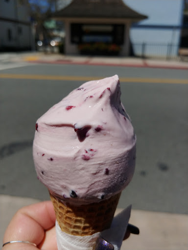 Gift Shop «Capitola Seashells», reviews and photos, 109 Capitola Ave, Capitola, CA 95010, USA