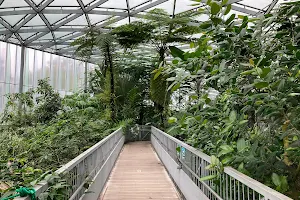 Greenhouse, Shinjuku Gyoen National Garden image