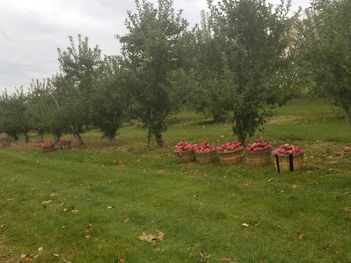 Golf Course «Apple Greens Golf Course», reviews and photos, 161 South St, Highland, NY 12528, USA