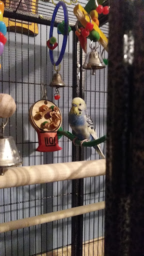 Pet Supply Store «Petco Animal Supplies», reviews and photos, 330 Orchard Park Rd, West Seneca, NY 14224, USA