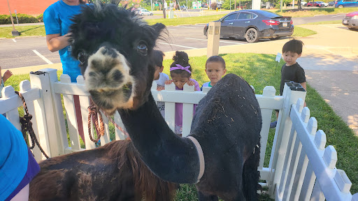 Day Care Center «LITTLE RIVER DAY SCHOOL», reviews and photos, 6481 Little River Turnpike, Alexandria, VA 22312, USA