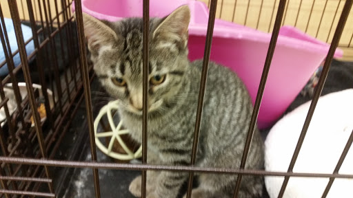 Pet Supply Store «Pet Supplies Plus», reviews and photos, 311 Sagamore Pkwy N, Lafayette, IN 47904, USA