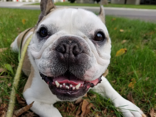 Golf Course «El Zagal Par 3 Golf Course», reviews and photos, 1400 Elm St N, Fargo, ND 58103, USA