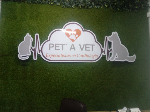 Pet' A Vet Especialista En Caediología