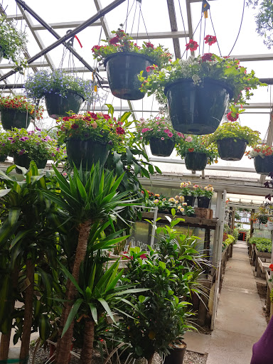 Kellner Greenhouse