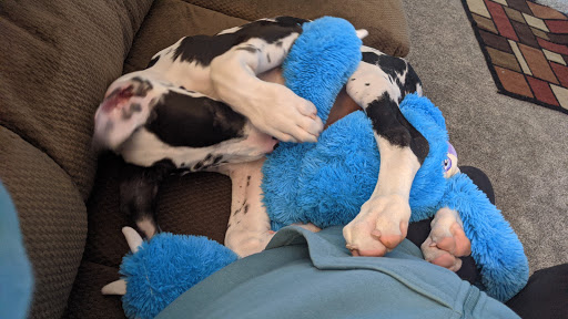 Pet Supply Store «Petco Animal Supplies», reviews and photos, 8820 NE 5th Ave, Vancouver, WA 98665, USA