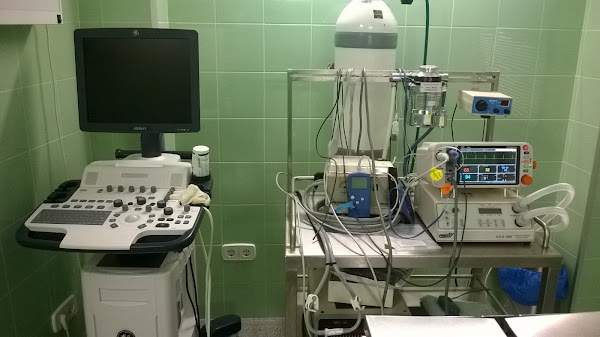 Clinica Veterinaria Arbor