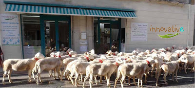 anti-calcaire à vortex - innovative à Ganges