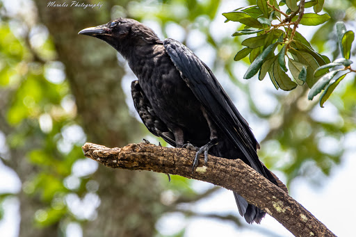 Park «Lake Lily Park», reviews and photos, 900 S Orlando Ave, Maitland, FL 32751, USA