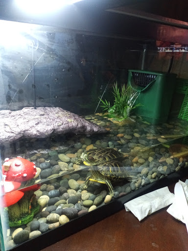 Pet Store «Planet Pet Shop», reviews and photos, 6624 Eastern Ave, Bell Gardens, CA 90201, USA