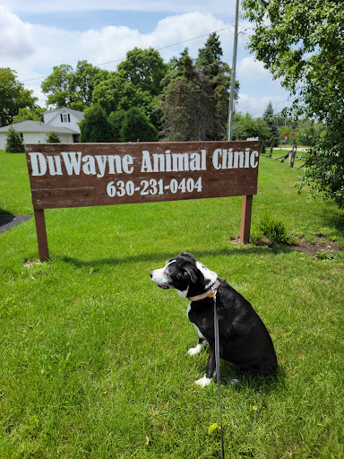 Duwayne Animal Clinic image