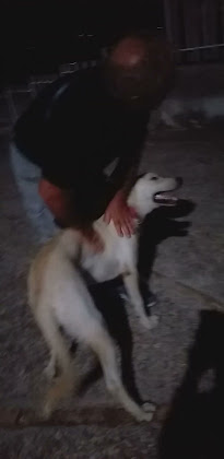 Vidéos Bed & Breakfast La Magnolia sul Lago 82020 Campolattaro