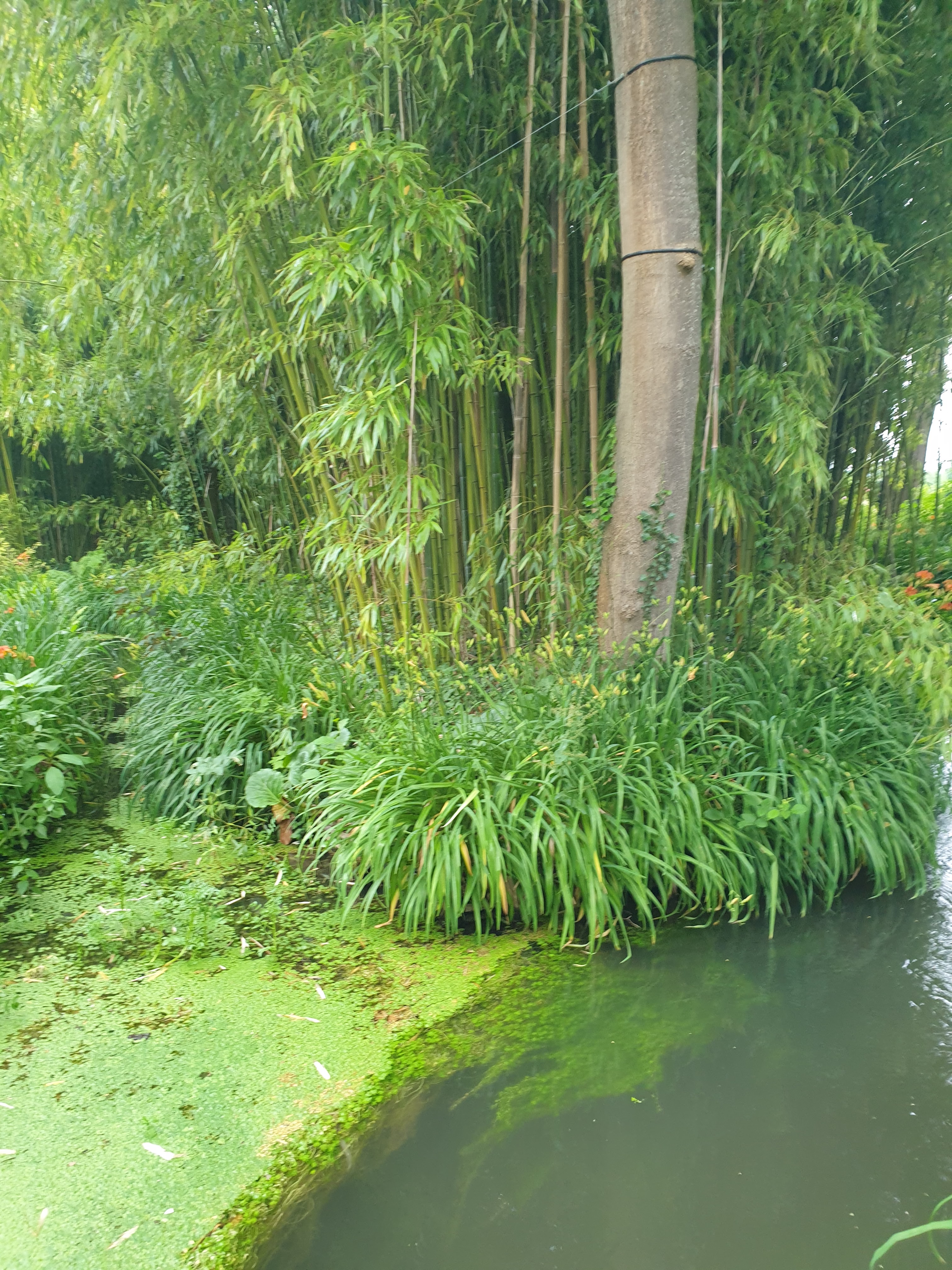 Photo n° 16 de l'avis de Platine.A fait le 20/06/2021 à 10:30