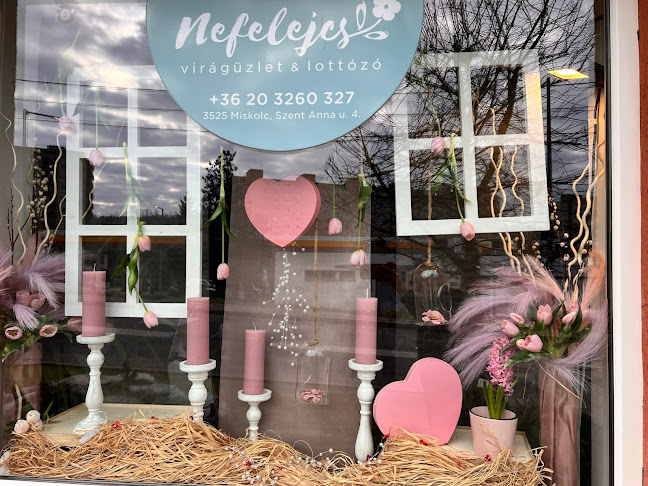 Nefelejcs Virágüzlet