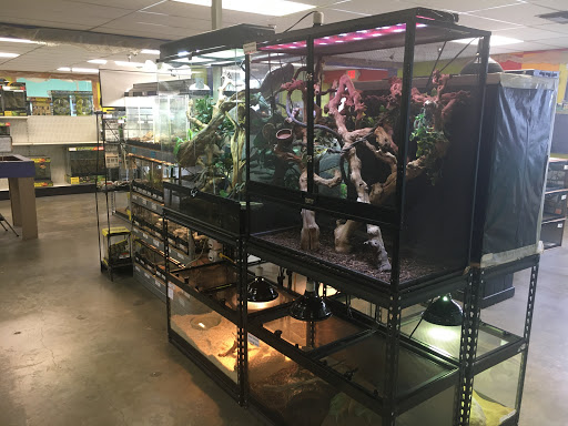 Pet Store «Tye-Dyed Iguana - Reptiles», reviews and photos, 1905 W U.S. 50, Fairview Heights, IL 62208, USA