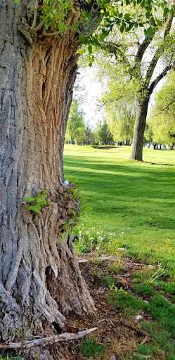 Golf Course «Greeley Country Club», reviews and photos, 4500 W 10th St, Greeley, CO 80634, USA