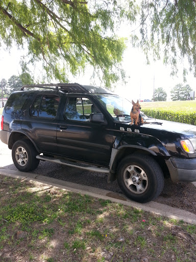 Department Store «Sears», reviews and photos, 3510 McCann Rd, Longview, TX 75605, USA