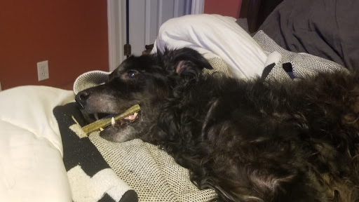 Pet Supply Store «Pet Supplies Plus», reviews and photos, 5348 Dixie Hwy, Waterford Twp, MI 48329, USA