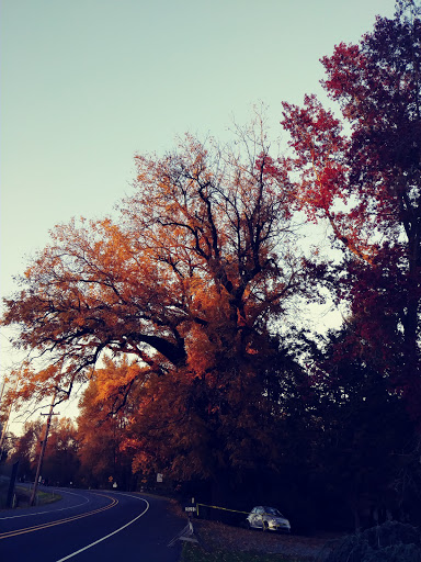 Golf Club «Arrowhead Golf Club», reviews and photos, 28301 Cascade Hwy, Molalla, OR 97038, USA