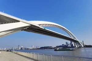 卢浦大桥 image